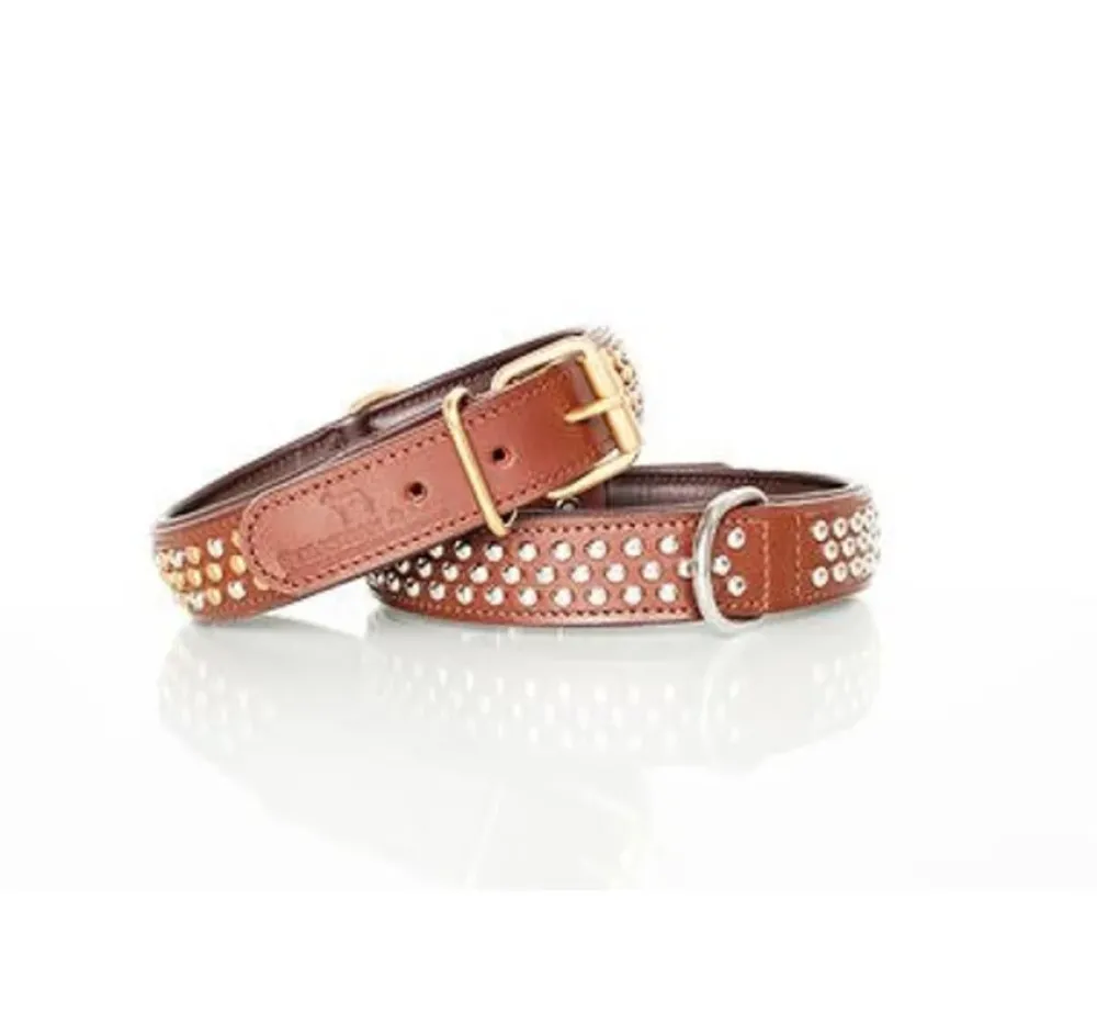 Sebastian Hondenhalsband Bengal Messing- Hondenhalsband