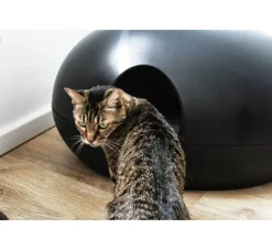 Sindesign Kattenbak Poopoopeedo Zwart- Kattenbak