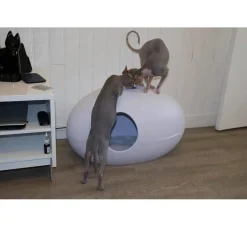 Sindesign Kattenbak Poopoopeedo Wit- Kattenbak