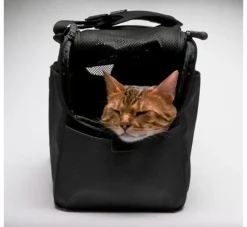 Sleepypod Draagtas Voor Huisdieren Atom Jet Black- Hondentas