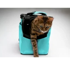 Sleepypod draagtas Voor Huisdieren Atom Robin Egg Blue- Hondentas
