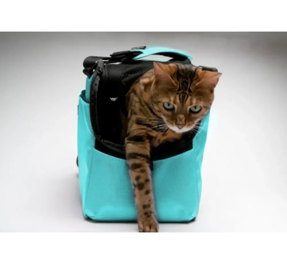 Sleepypod draagtas Voor Huisdieren Atom Robin Egg Blue- Hondentas