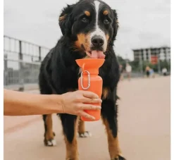Springer Drinkfles Hond Klassiek Poppy- Voerbak En Drinkbak