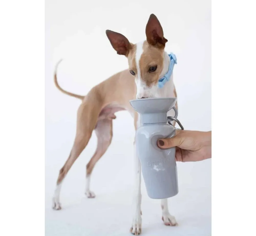 Springer Drinkfles Hond Klassiek Grijs- Voerbak En Drinkbak