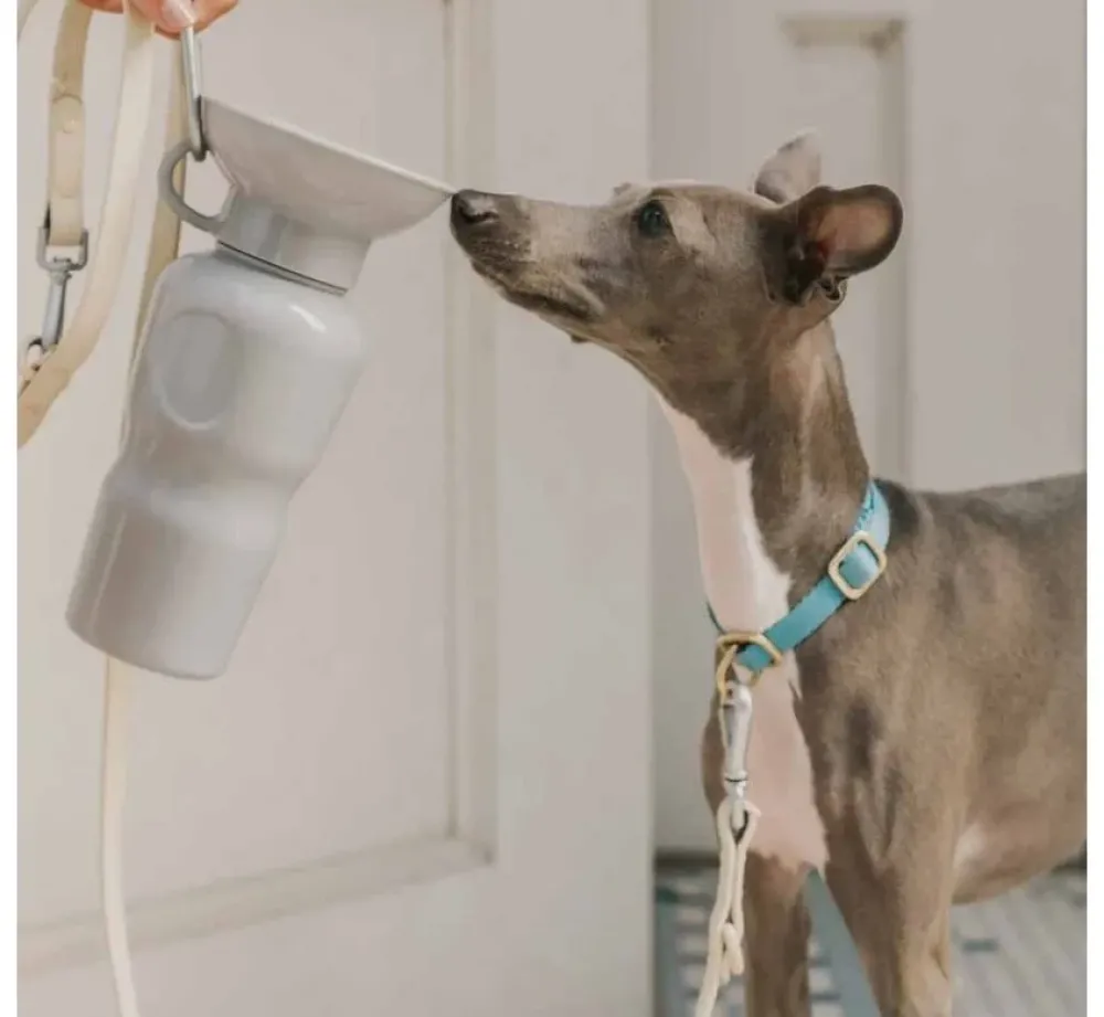 Springer Drinkfles Hond Klassiek Grijs- Voerbak En Drinkbak