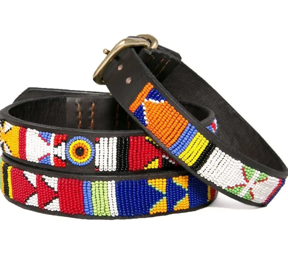 The Kenyan Collection Hondenhalsband Primary- Hondenhalsband
