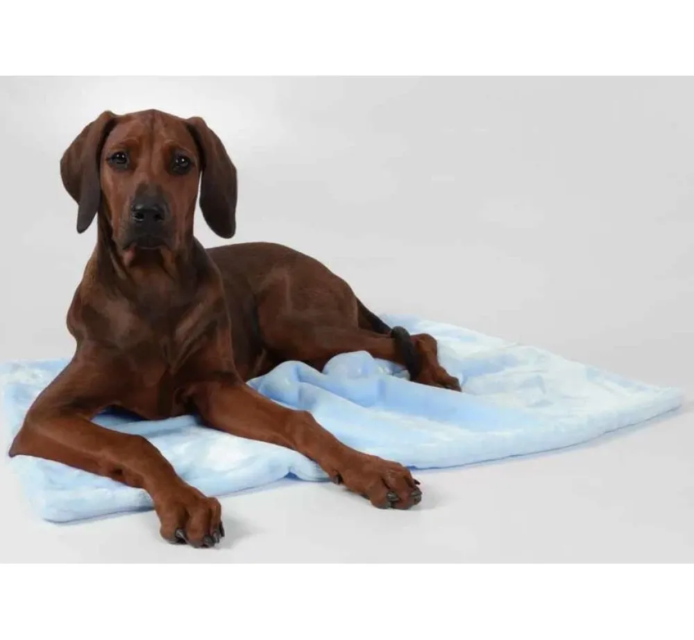 TrendPet Hondendeken Coco Blauw- Hondendeken