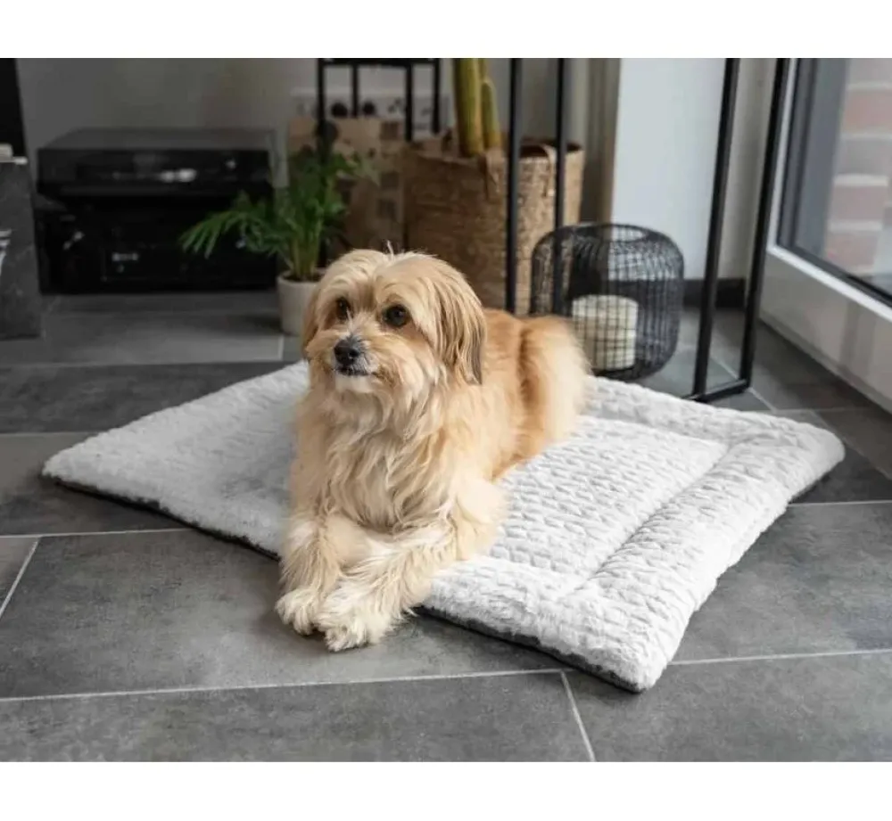 TrendPet Hondendeken Heaven Grijs- Hondendeken