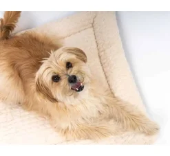 TrendPet Hondendeken Heaven Beige- Hondendeken
