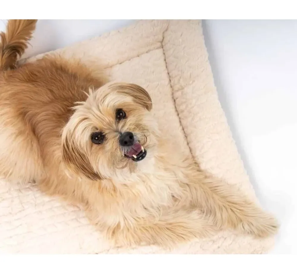 TrendPet Hondendeken Heaven Beige- Hondendeken