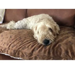 TrendPet Hondendeken Relax- Hondendeken