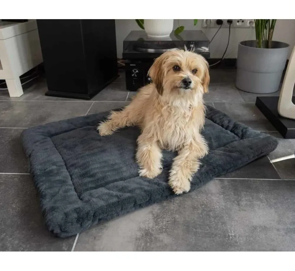 TrendPet Hondendekenharmony Grijs- Hondendeken