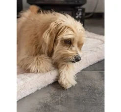 TrendPet Hondendekenharmony Beige- Hondendeken