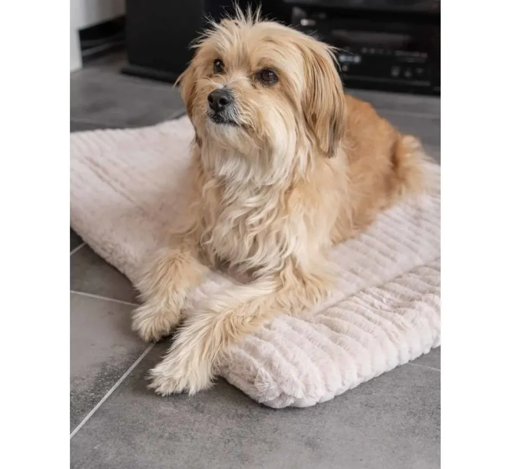 TrendPet Hondendekenharmony Beige- Hondendeken