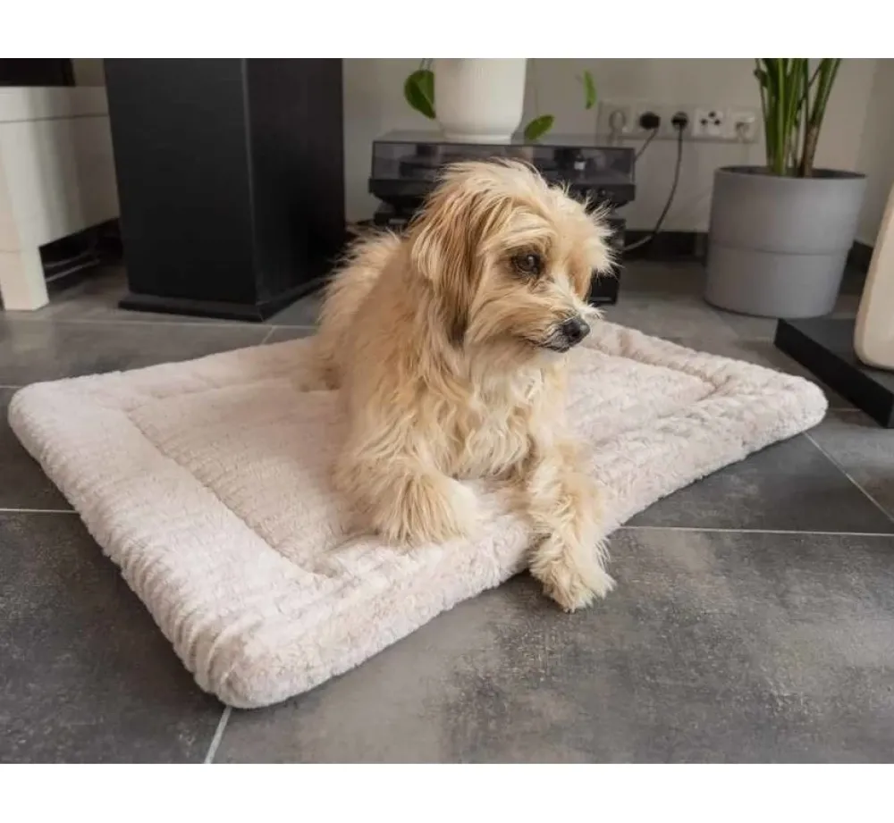 TrendPet Hondendekenharmony Beige- Hondendeken